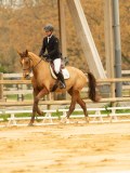 DSC06576 DSC06576