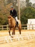 DSC06580 DSC06580