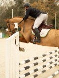DSC06644 DSC06644