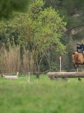 SGE07038 SGE07038
