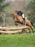 SGE07039 SGE07039