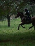 24_03043 24_03043
