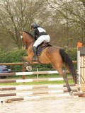 DSC00975 DSC00975