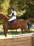 DSC00313 DSC00313