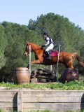 IMG_1898 IMG_1898