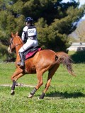 IMG_1908 IMG_1908