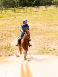 DSC03748 DSC03748