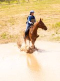 DSC03749 DSC03749