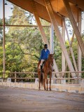 IMG_7886 IMG_7886