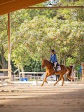 IMG_7893 IMG_7893