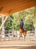IMG_7894 IMG_7894