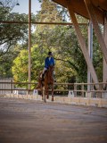IMG_7900 IMG_7900