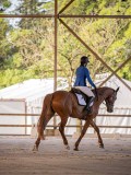 IMG_7905 IMG_7905