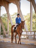 IMG_7919 IMG_7919