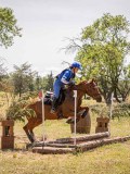 IMG_9437 IMG_9437