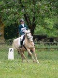 AP104052 AP104052