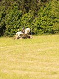 DSC09777