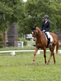 IMG_0590 IMG_0590
