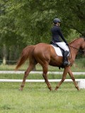 IMG_0597 IMG_0597