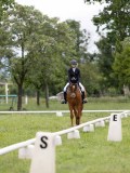 IMG_0599 IMG_0599