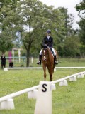 IMG_0600 IMG_0600