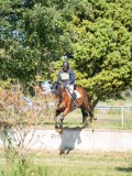 DSC08456 DSC08456