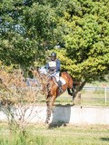 DSC08457 DSC08457