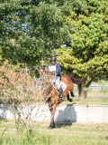 DSC08458 DSC08458