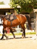 DSC09674