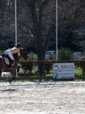 IMG_9238
