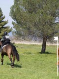 IMG_9852