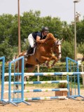 DSC00231