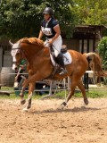 DSC00238