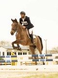 DSC06719 DSC06719
