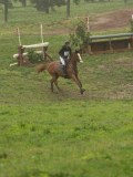 DSC00223