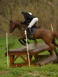 DSC00231 DSC00231