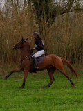 IMG_0535 IMG_0535