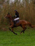 IMG_0537 IMG_0537
