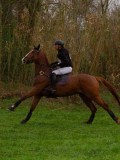 IMG_0539 IMG_0539