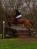IMG_0543 IMG_0543