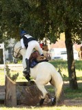 DSC00355 DSC00355