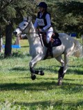 IMG_1929 IMG_1929