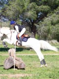 IMG_1938 IMG_1938