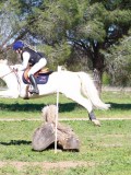 IMG_1939 IMG_1939