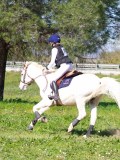 IMG_1943 IMG_1943