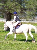 IMG_1944 IMG_1944