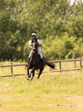 DSC03766 DSC03766