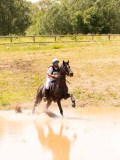 DSC03768 DSC03768