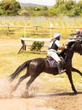 DSC03773 DSC03773