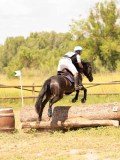 DSC03774 DSC03774